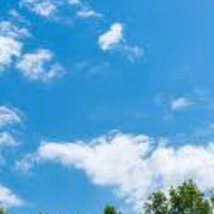 Abhinav Srivastava-Freelancer in Lucknow,India