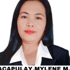 Mylene Macapulay-Freelancer in CITY OF PALAYAN (Capital),Philippines