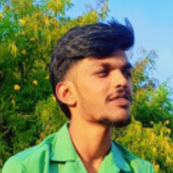 Nitheesh Hd-Freelancer in Bengaluru,India