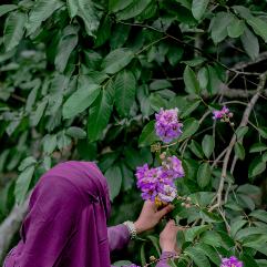 Muhsina Nesrin-Freelancer in Malappuram,India