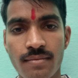 Vinay Gawli-Freelancer in Shajapur,India
