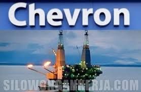 Truelancer profile picture for @chevron