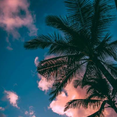 Mian Usman-Freelancer in Islamabad,Pakistan