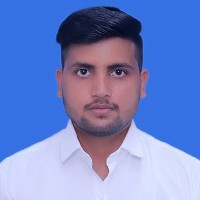 Honey-Freelancer in Delhi Division,India