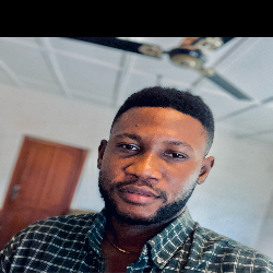 Nelson 10-Freelancer in Obuasi,Ghana