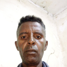 Wondimu Mikiru-Freelancer in Gedo,Ethiopia