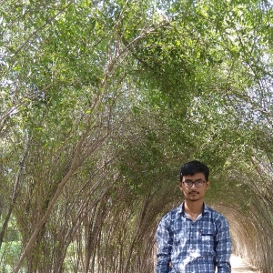 Dhruv Patel-Freelancer in ,India