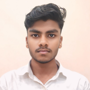 Harshit Raj-Freelancer in Patna,India