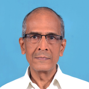 Ravi Iyer-Freelancer in Puttaparthi,India