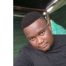 Wandile Nyawo-Freelancer in Empangeni,South Africa