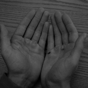 Antonio Mccoy-Freelancer in california,United States Virgin Islands