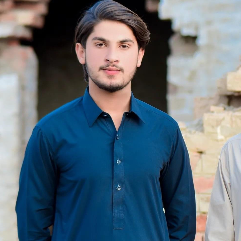 Awais Hafeez-Freelancer in ,Pakistan