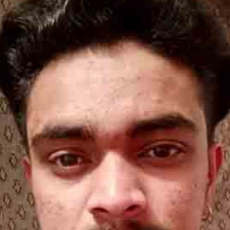 Vivek Dunkal-Freelancer in Shimla,India