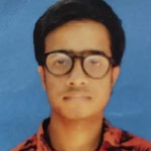 dheeraj kumar-Freelancer in Bakhtiarpur,India