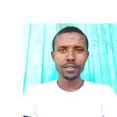 Alelign Limenew-Freelancer in Addis Ababa,Ethiopia