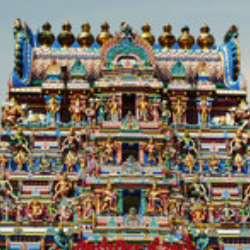 Max-Freelancer in Theni,India