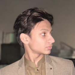 Ayyan Sanaullah-Freelancer in Lahore,Pakistan