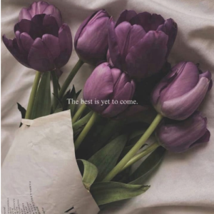 Sharjeel Zafar-Freelancer in Chowk Munda,Pakistan