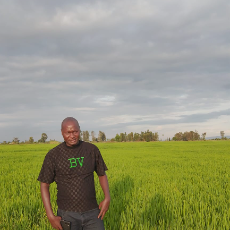 Dominic-Freelancer in Githurai,Kenya