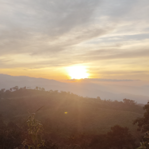 Sevalal Rathod-Freelancer in Guwahati,India