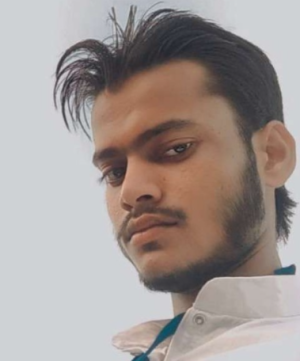 Salman Khan-Freelancer in Delhi,India