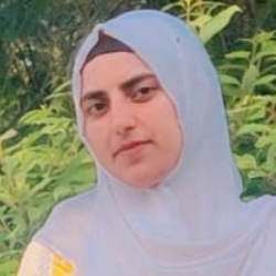 Ayesha Sajid-Freelancer in Wah Cantt,Pakistan