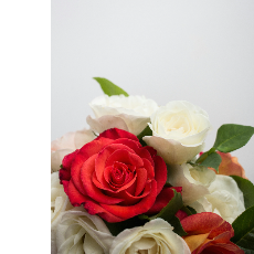 Phale Zulu-Freelancer in Lusaka,Zambia