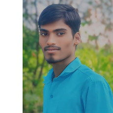 Ramraje Pol-Freelancer in Solapur,India