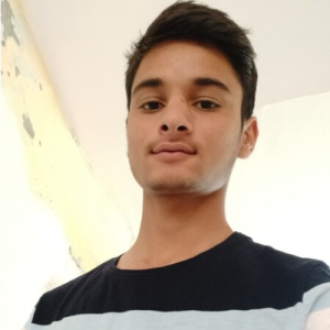 Rahul Thalwal-Freelancer in Chandigarh,India
