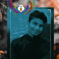 Niloy Chowdhury-Freelancer in Asia Dhaka,Bangladesh