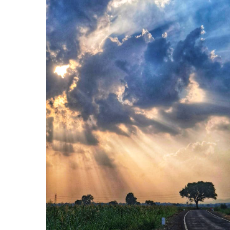 Shanti Misal-Freelancer in Kolhapur,India