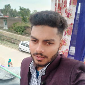 Ankush Langeh-Freelancer in Jammu,India