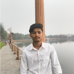 Roni Bahadur-Freelancer in Kolkata,India