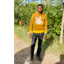 Steve Babu-Freelancer in ,Kenya