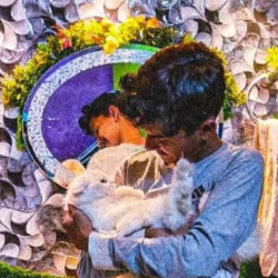 Mohammad Saquib-Freelancer in Bhubaneswar,India
