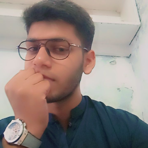 Haseeb-Freelancer in Chiniot,Pakistan