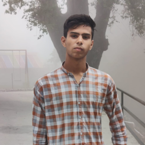 Muhammad Huzaifa Shakoor-Freelancer in Lahore,Pakistan