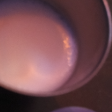 Ghjjnnn-Freelancer in Chennai,India