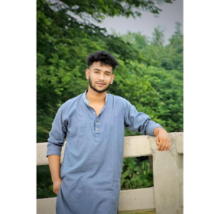 Ibne Ahmed Miraz-Freelancer in Mymensingh,Bangladesh