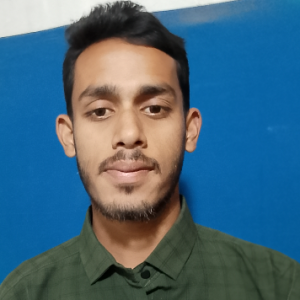 Md Shamim Babu Shanta-Freelancer in Nunkhawa,Bangladesh