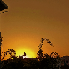 Jiya Bhatia-Freelancer in Bareilly,India