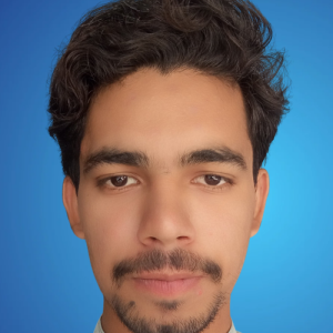 Ilyas Saeed-Freelancer in Bahawalpur,Pakistan