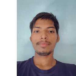 Rajesh Kumar I contant writer-Freelancer in patana,India