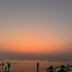 Pratibha-Freelancer in Mumbai,India