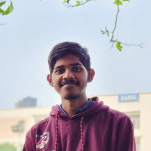 Kushwaha Rajat Kamalakant-Freelancer in Muradnagar,India