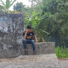 Ayman Alvi-Freelancer in কনকদিয়া,Bangladesh