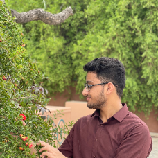 Mujtaba Hussain-Freelancer in Hyderabad,Pakistan