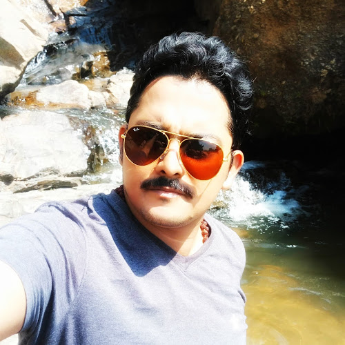 Pratim Roy-Freelancer in KOLKATA,India