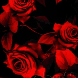 Syeda Nahal-Freelancer in Karachi,Pakistan