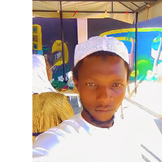 Muhammad Mustapha-Freelancer in Ilorin,Nigeria